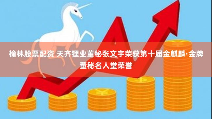 榆林股票配资 天齐锂业董秘张文宇荣获第十届金麒麟·金牌董秘名人堂荣誉